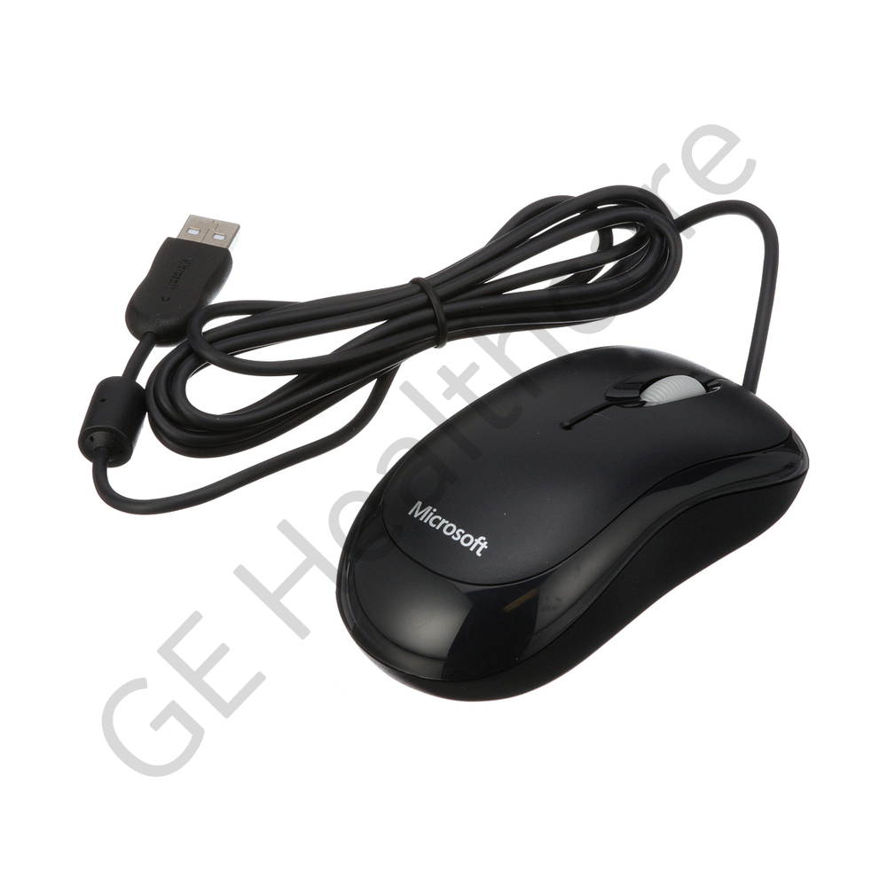 RCIM2 Mouse RCIM2 Mouse